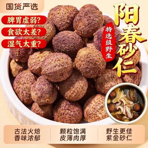 广东特产春砂仁健胃煲汤养胃阳春砂仁中药材春沙仁干果陈皮炖汤