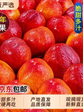 【5斤黄心油桃钜惠】脆甜多汁