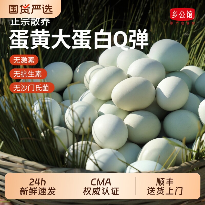 新鲜乌鸡蛋正宗散养绿壳枚整箱批发草柴笨绿皮土鸡蛋初生谷物珍珠
