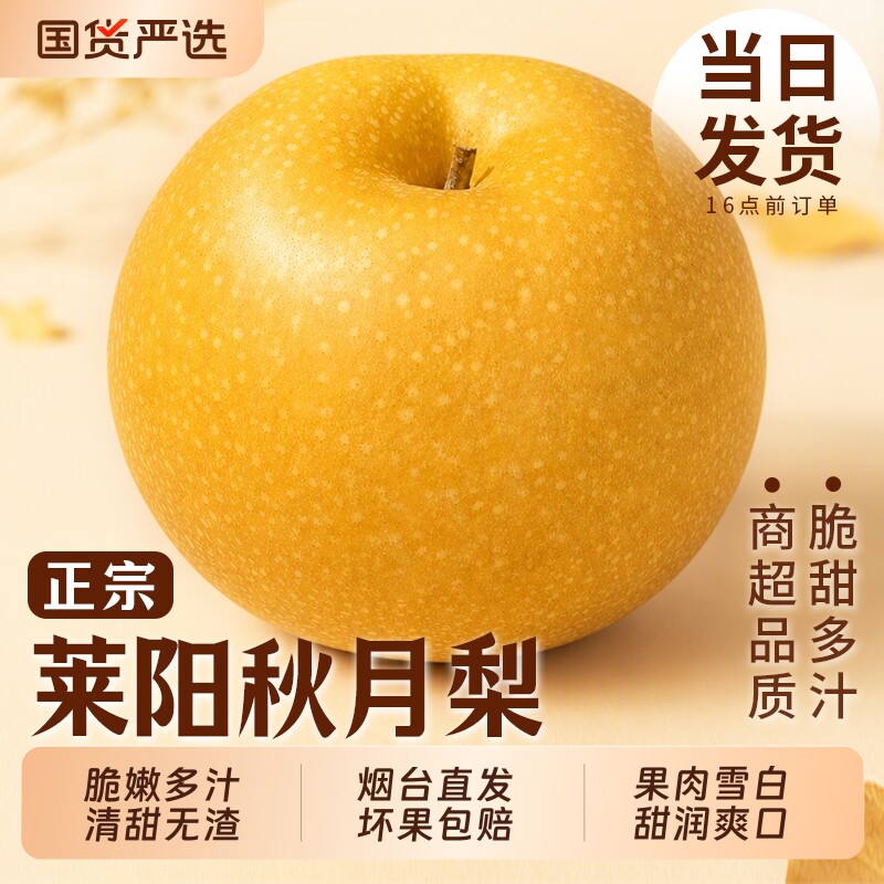正宗山东莱阳秋月梨现摘现发水果新鲜当季冰糖雪梨子大果整箱直发