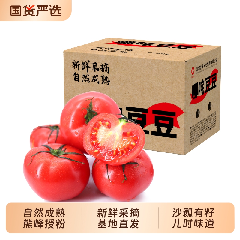 哪咤豆豆生吃普罗旺斯番茄4.5斤