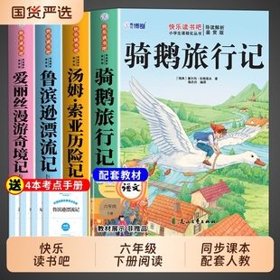 全套4册 尼尔斯骑鹅旅行记鲁滨逊漂流记六年级下册必读正版的课外书原著完整版快乐读书吧六下书目汤姆索亚历险记爱丽丝漫游奇境孙