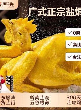 广式客家盐焗鸡农家散养鸡散养正宗盐焗手撕鸡加热即食年货年夜饭