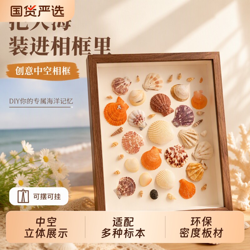 贝壳海螺空框diy材料标本框手工礼物纪念画框中空简约相框干花
