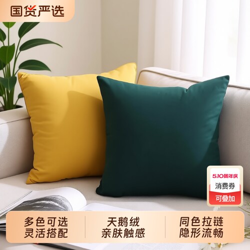 天鹅绒沙发抱枕靠背靠垫床头布艺客厅毛绒不含芯腰枕方形软装南瓜