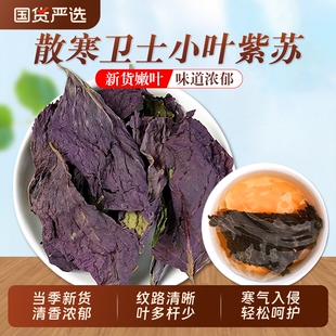 野生小叶紫苏叶中药材官方旗舰店食用农家新货紫苏叶干苏叶粉泡茶