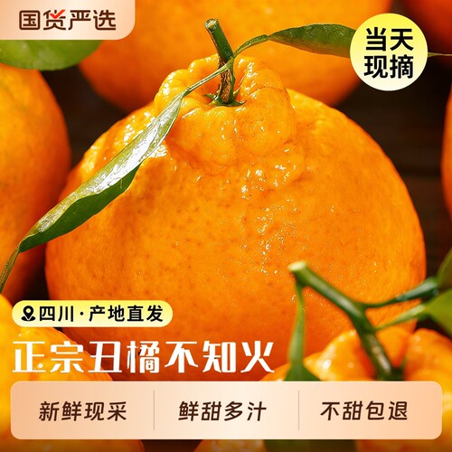 四川不知火丑橘鲜甜现摘现采