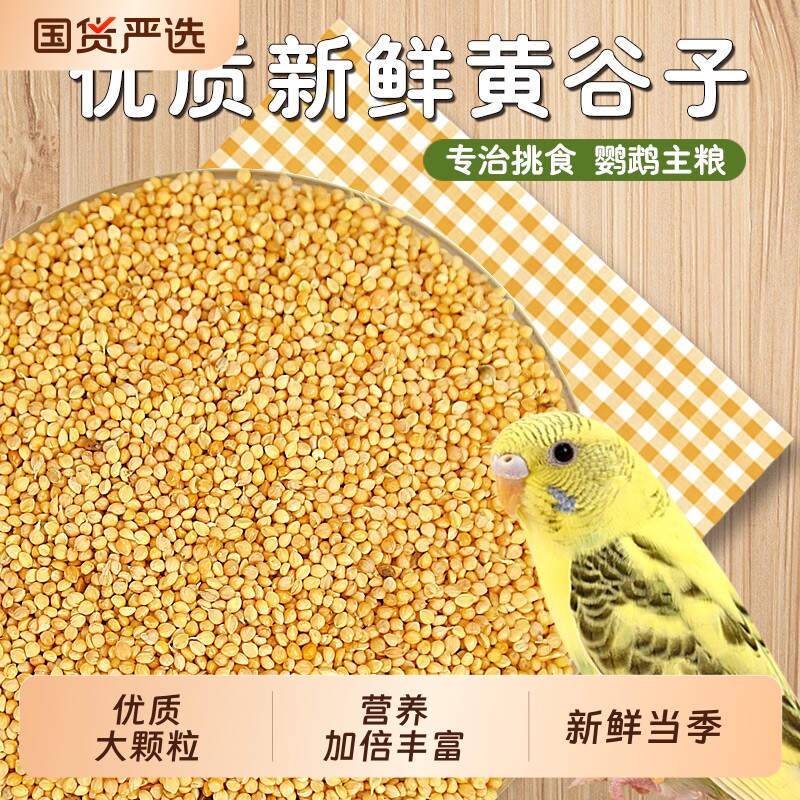 鹦鹉黄谷子粮食鹦鹉鸟用鸟食用品优质饲料营养全面颗粒饱满新鲜