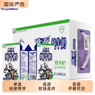 绿色食品欧亚高原全脂纯牛奶250g*16盒/箱早餐大理乳制品优选饮料