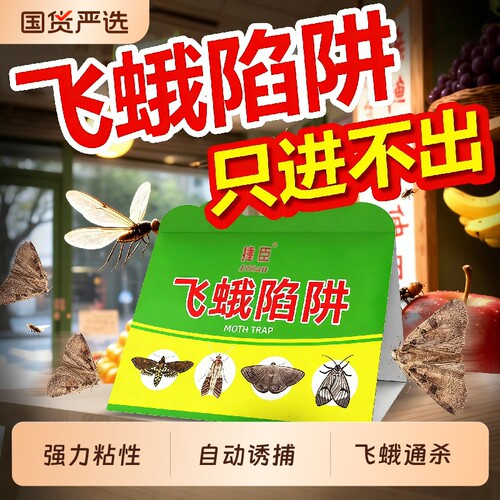 强力粘性自动诱捕飞蛾诱捕器