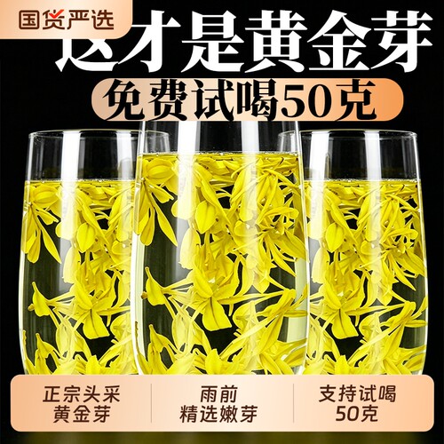 正宗高山黄金芽茶叶2026年新茶雨前安吉茶树白茶绿茶250g礼盒罐装