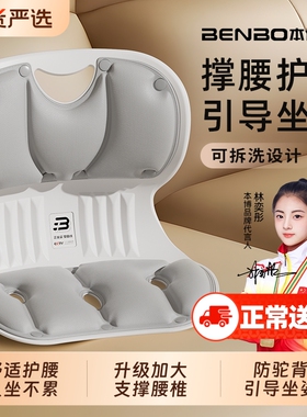 本博人体工学坐姿椅座椅护腰坐垫靠垫神器护腰坐姿椅防驼背支撑