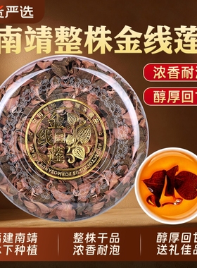 正宗福建南靖金线莲中药材正品林下种植原生态红霞整株干品新鲜