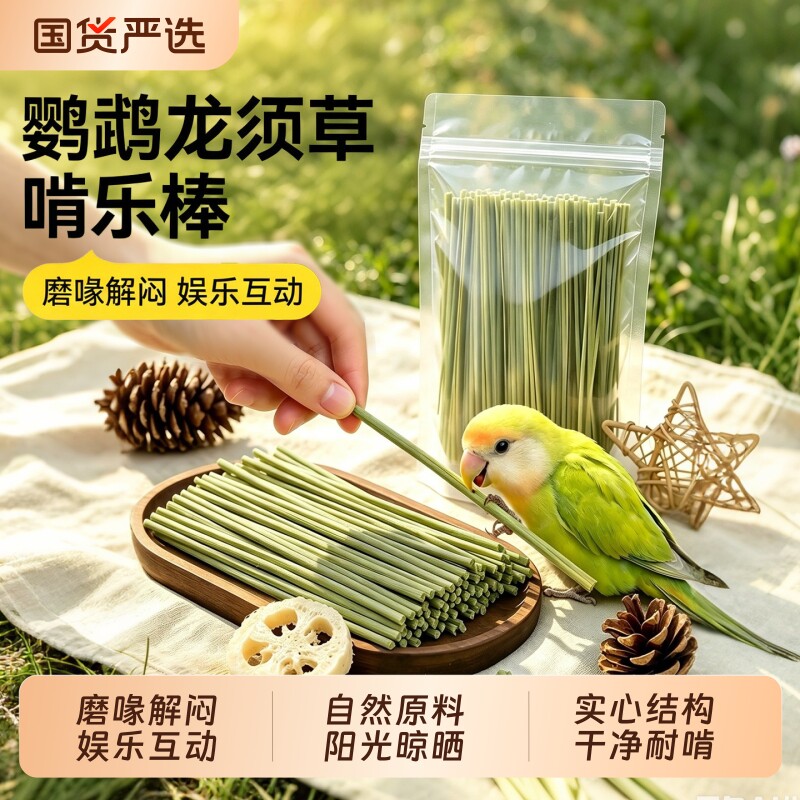 【鹦鹉龙须草】磨喙啃咬解闷图片