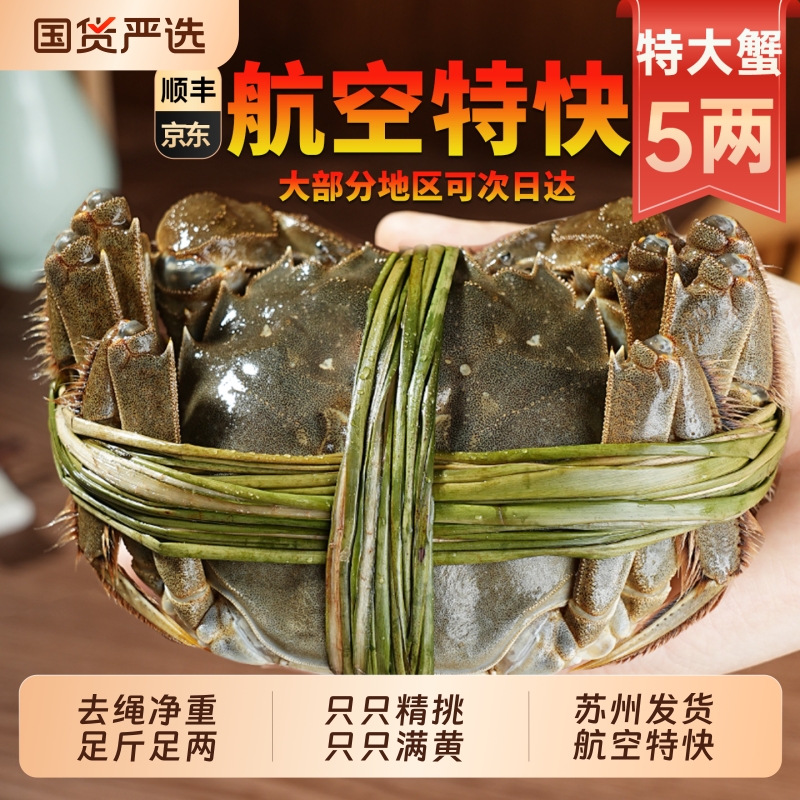 【活蟹只只满黄】阳澄后荡湖精品大闸蟹鲜活全母公超特大螃蟹5两