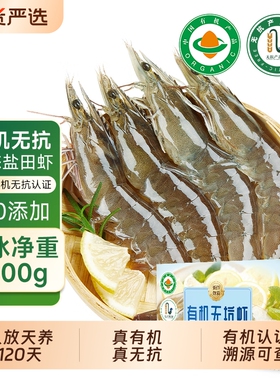 有机无抗盐田虾鲜冻虾大虾鲜活水产海鲜虾速冻冷冻虾盐田虾生冻