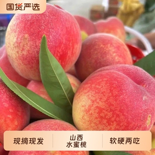 山西脆蜜桃现摘水蜜桃毛桃（4.5斤160克+）