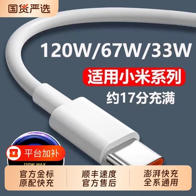 金标适用小米120/100/90/67/33W