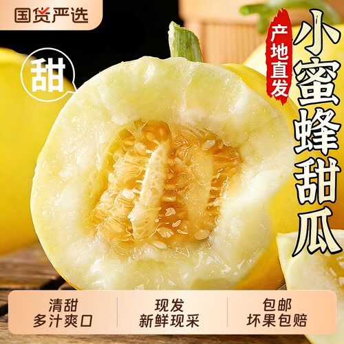 山东小蜜蜂甜瓜爆甜多汁
