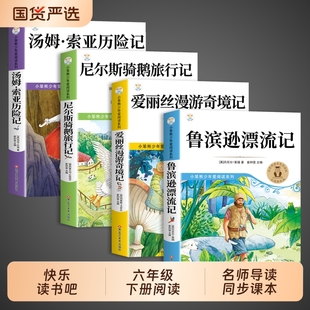 鲁滨逊漂流记尼尔斯骑鹅旅行记全套4册 六年级下册必读正版的课外书原著完整版快乐读书吧6六下书籍汤姆索亚历险记爱丽丝漫游奇境