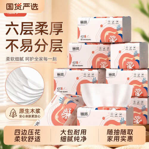 丽邦抽纸大包420张整箱