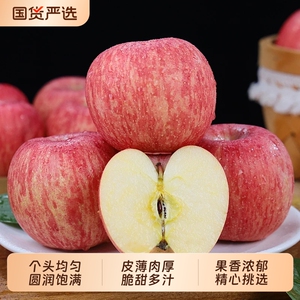 正宗洛川红富士苹果陕西特产当季整箱新鲜水果产地直发批发价包邮