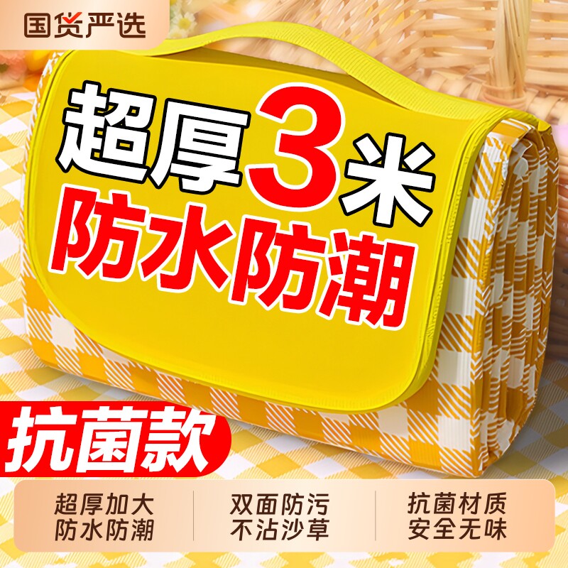野餐垫防潮垫加厚户外野炊野营沙滩帐篷地垫春游坐垫防水草坪垫子
