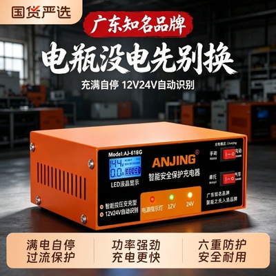 智能识别12v24v充电器一机全家用
