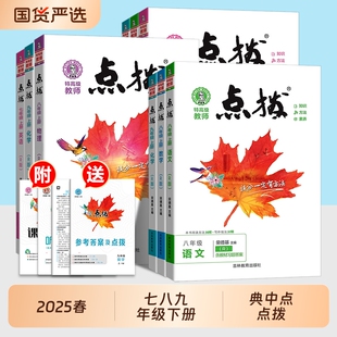 2025春特高级教师点拨典中点七八九年级下册语文数学英语物理化学人教版北师版外研版沪科版荣德基讲解资料初中训练课堂同步预习