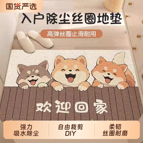 卡通入户门丝圈地垫门口耐磨脚垫进门家用蹭土地毯玄关门垫可裁剪
