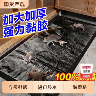 粘鼠魔毯贴强力粘鼠板家用一窝端抓粘大老鼠胶正品灭鼠驱捕鼠神器