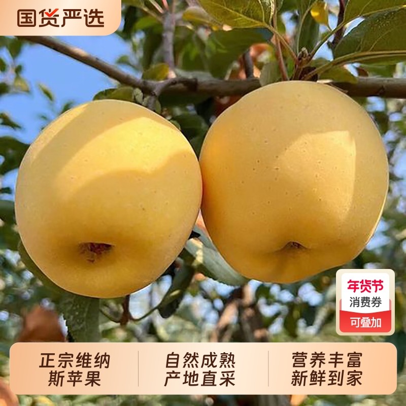 裕鲜生正宗山东烟台维纳斯黄金苹果新鲜水果黄苹果当季产地多汁,水产肉类/新鲜蔬果/熟食,苹果,淘宝优惠券,粉丝福利购,淘宝优惠卷