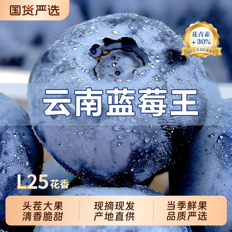云南蓝莓鲜果新鲜水果当季蓝梅现摘高山怡颗孕妇大果整箱顺丰包邮