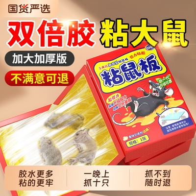 老鼠粘强力粘鼠板胶大老鼠贴捕鼠神器扑捉器超强家用加大加厚灭鼠