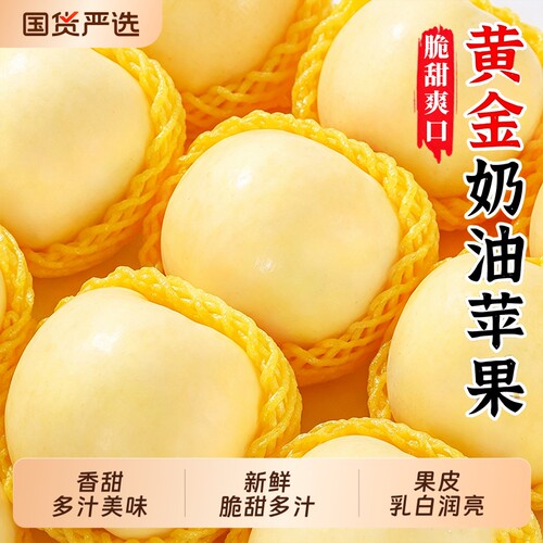 烟台黄金奶油富士苹果正宗奶油