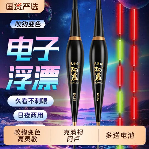 电子夜光浮漂高灵敏实惠装