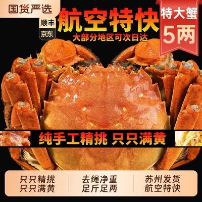 只只满黄阳澄湖5两鲜活大闸