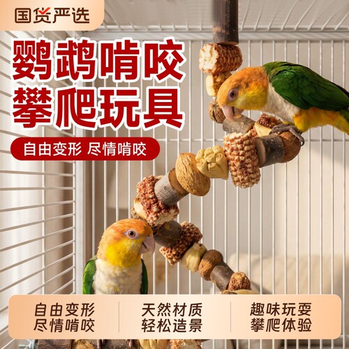 【鹦鹉站杆】天然干果趣味玩耍