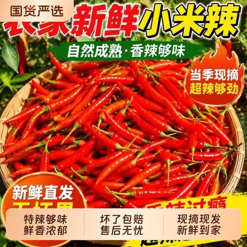 新鲜小米椒香辣新货产地直发