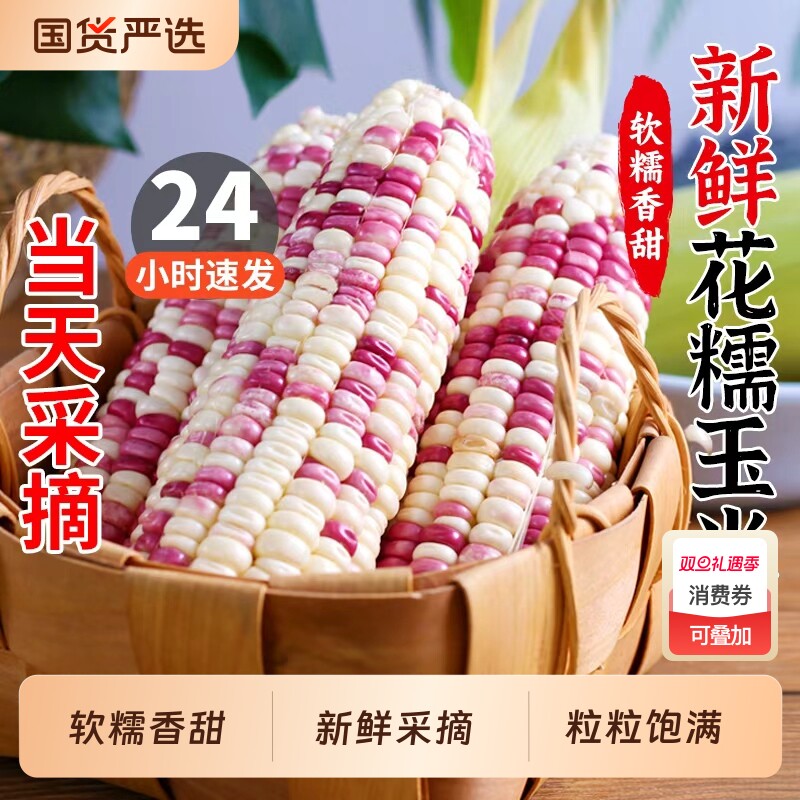 新鲜花糯玉米10斤现摘当季整箱花甜糯玉米苞谷嫩玉米棒子蔬菜包邮