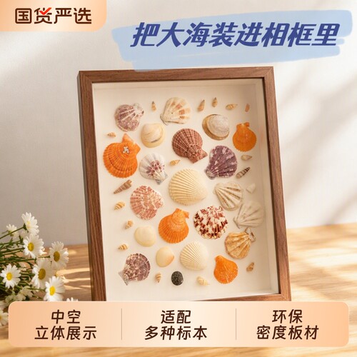 海边贝壳diy标本正方形相框