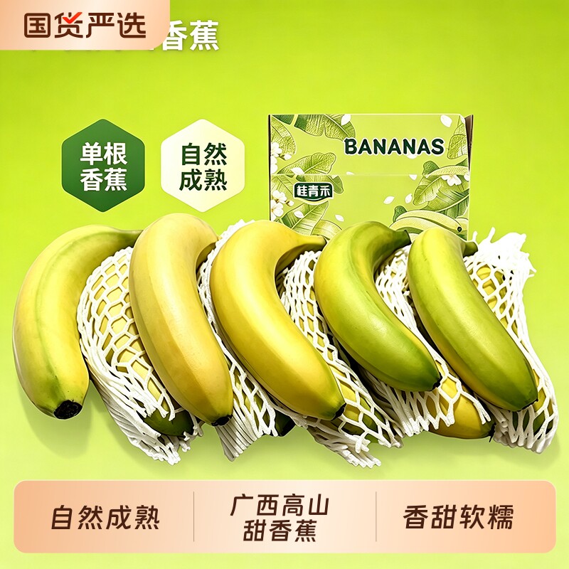 广西高山青皮香蕉现摘现发自然熟香甜软糯整箱新鲜应季水果单根