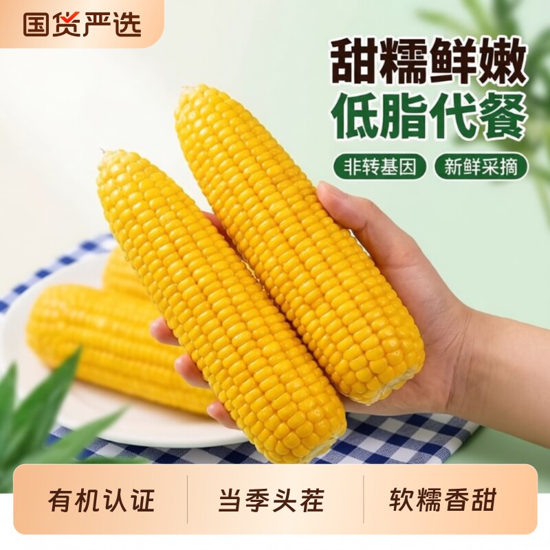 5斤头茬非转基因黄糯玉米新鲜糯甜非即食 东北苞米 真空装包装袋