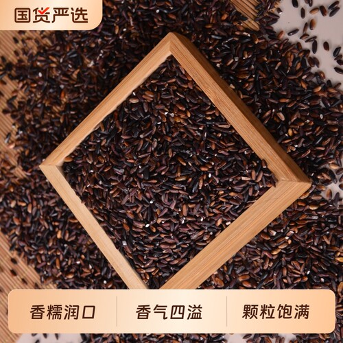 黑糯米500g正宗紫米粘黏新米包粽子饭团奶茶店专用杂粮黑米