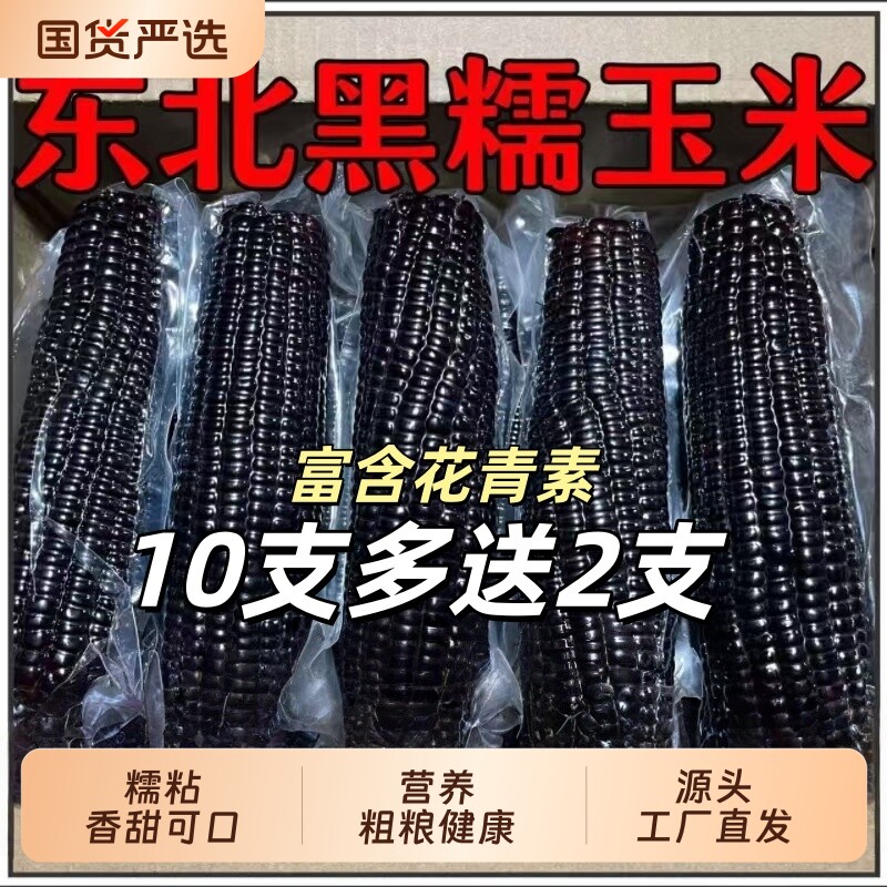 黑糯玉米新鲜甜糯玉米蒸煮即食真空包装袋东北粘苞米低脂粗粮香甜