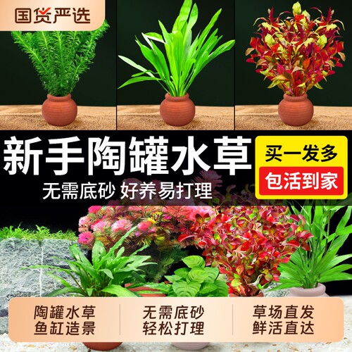 水草鱼缸造景摆件装饰陶罐套餐