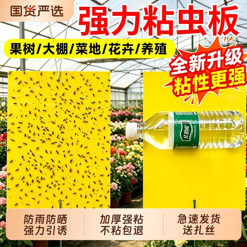黄板双面粘虫板蓟马纸贴黄蓝飞虫小黑飞沾果蝇诱捕器粘板强力菜地