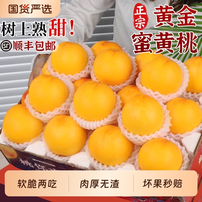 顺丰 黄金蜜黄桃5斤大果新鲜水果当季整箱现摘蒙阴蜜桃脆桃包邮甜