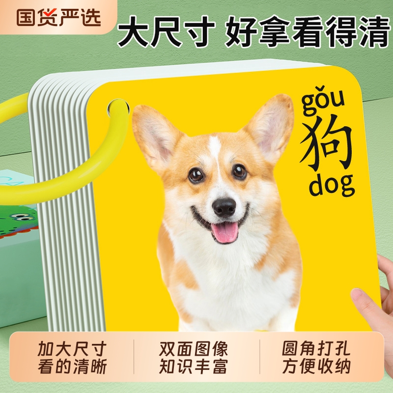 早教必备！儿童卡片早教认知卡