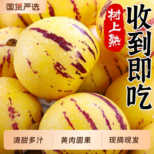 【24h速发】石林人参果~黄肉圆果